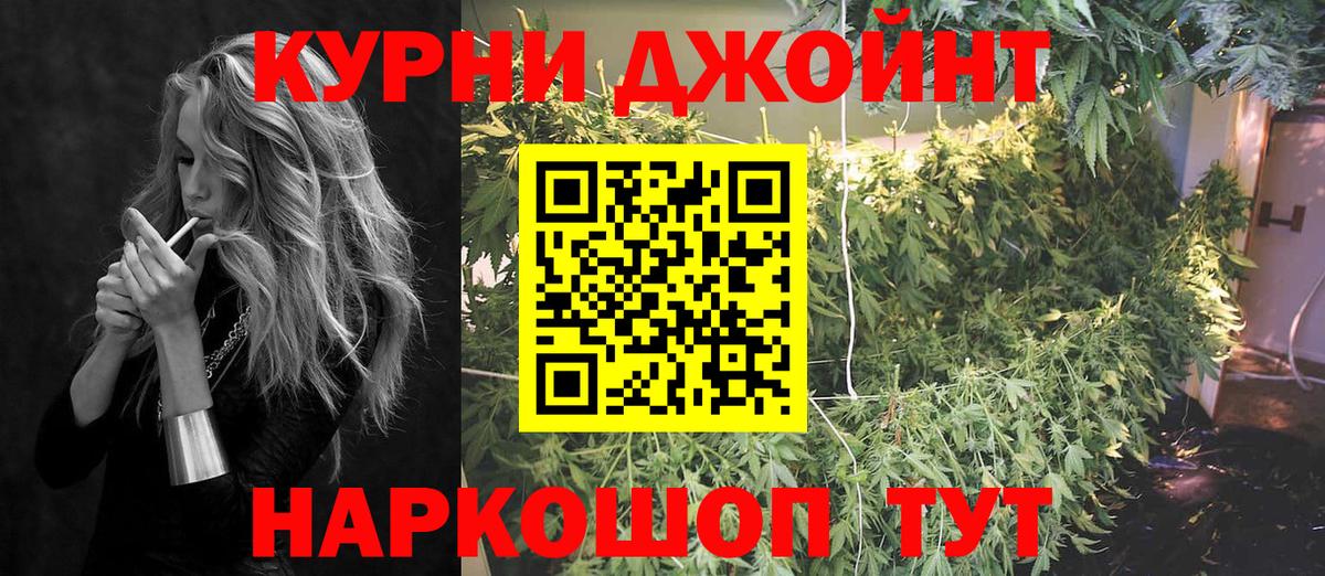 Каннабис MAZAR  Бошки Шишки тримм  Вход с VPN  Бошки марихуана планчик  Осинники  Марихуана ГИДРОПОН 